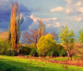 Текстуры и бэкграунды 668